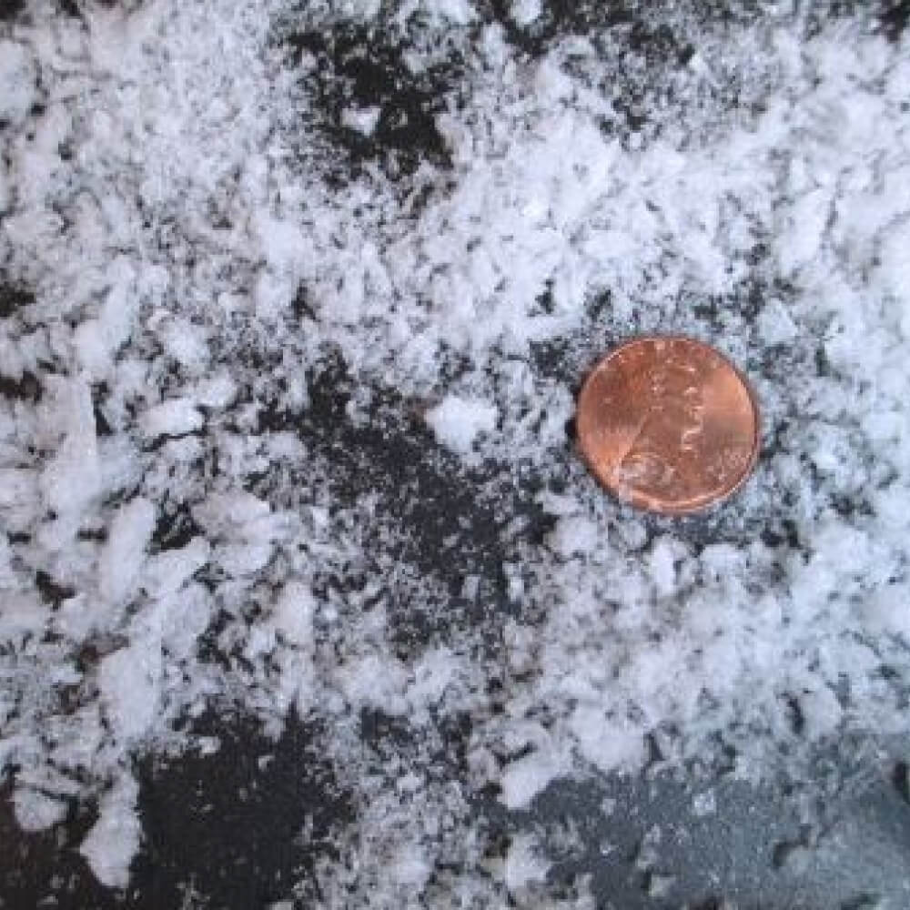 SnoBiz® Biodegradable Snow